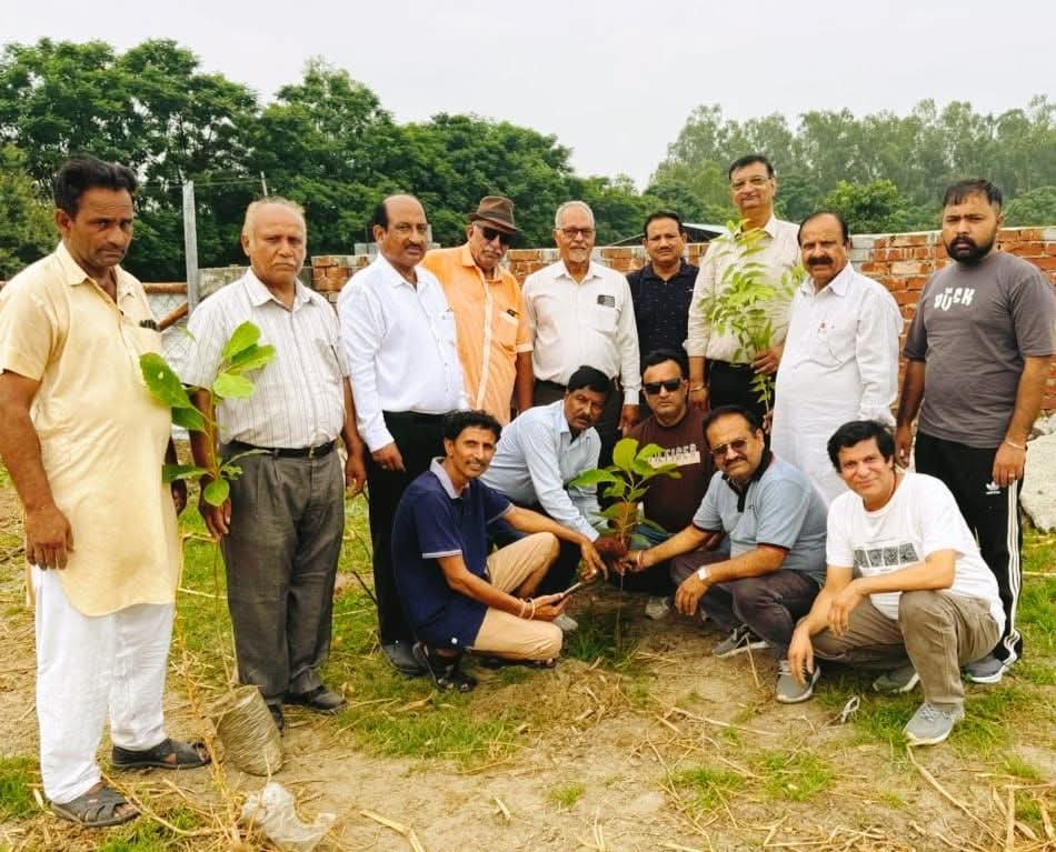 Make plantation an integral part of life - Arora.